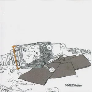 Abandoned shopping trolley hotline